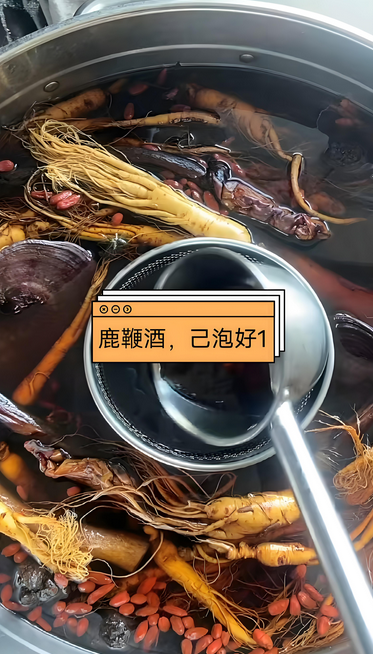正宗鹿鞭泡酒八种方法