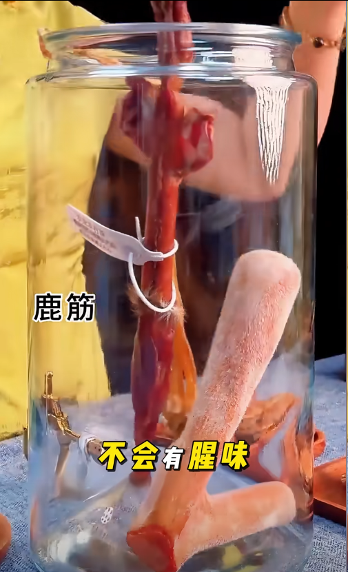 纯种梅花鹿鹿鞭一根多少钱？老妹跟你唠点实在的(图1)